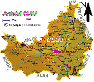 Harta judetului Cluj