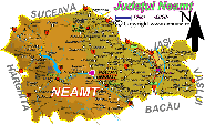 Harta judetului Neamt
